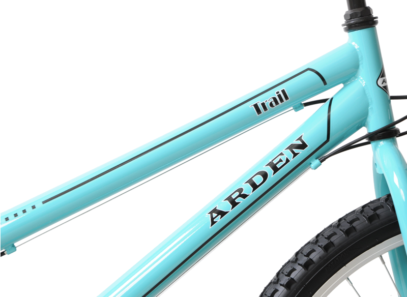 Arden Trail 24 inch Wheel Kids Mountain Bike Blue-3