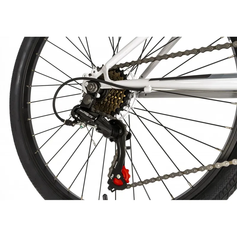 Falcon Cyclone 24 Inch Wheel Kids Bike Silver-6