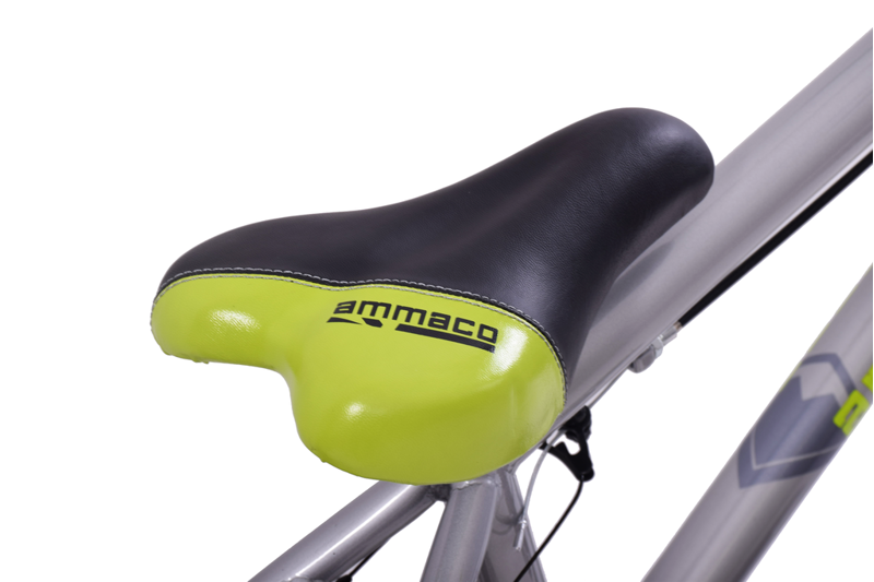 Ammaco Grime 20 Inch Wheel BMX Bike Silver-4