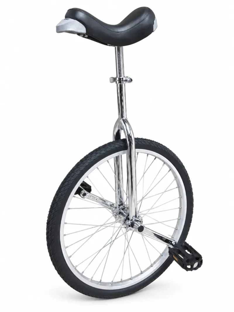 Fun 24 Inch Unicycle