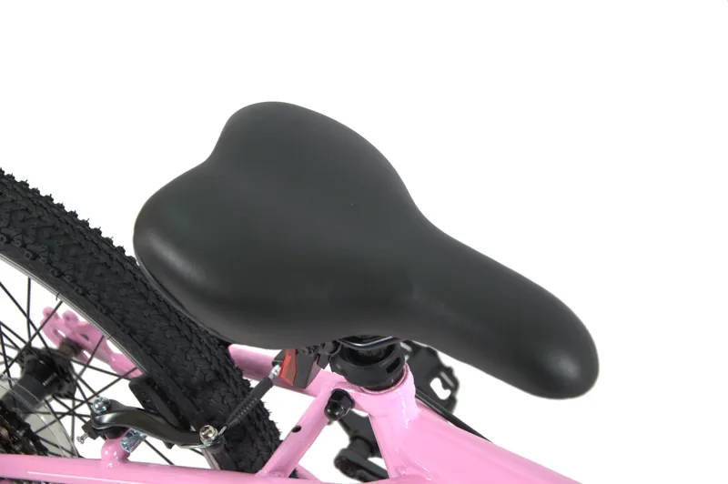 Professional Sky Dancer 20 Inch Wheel Kids Bike Pink/Blue-6