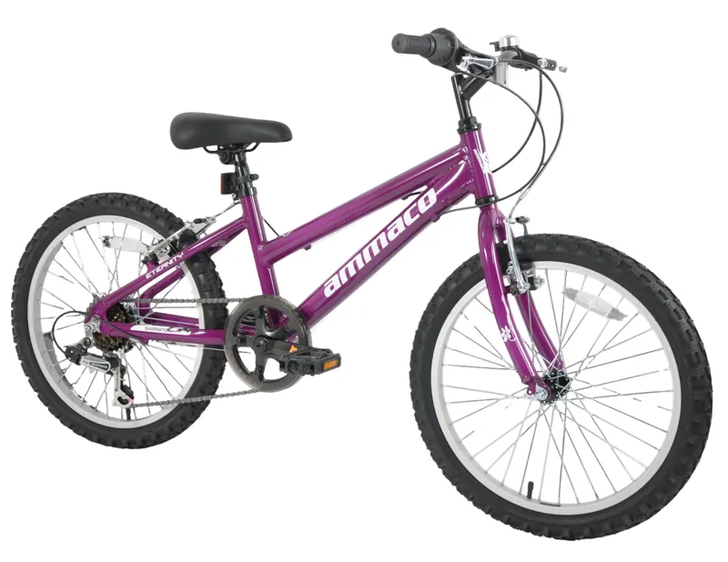 Ammaco Eternity 20 Inch Wheel Kids Bike Purple/White-1