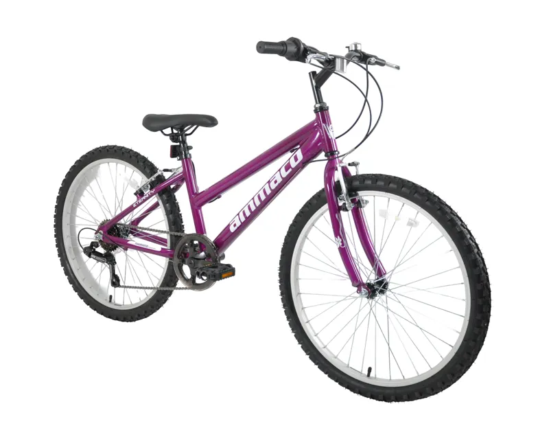 Ammaco Eternity 24 Inch Wheel Kids Bike Purple-1
