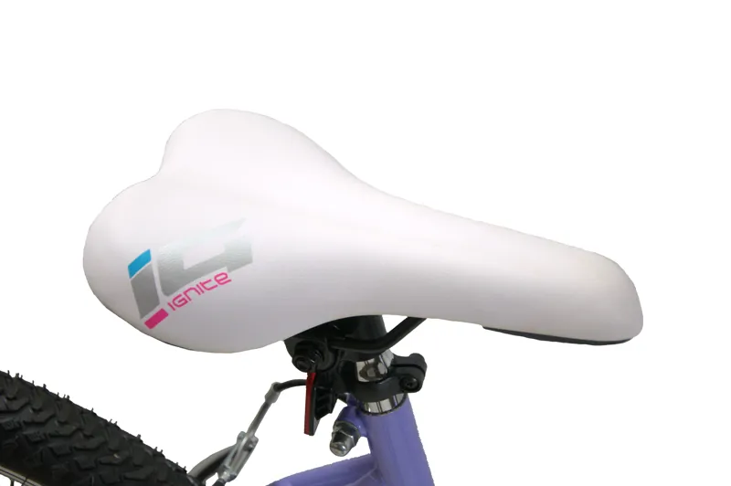 Santorini 26 inch MTB Purple Large 19 inch Frame-6