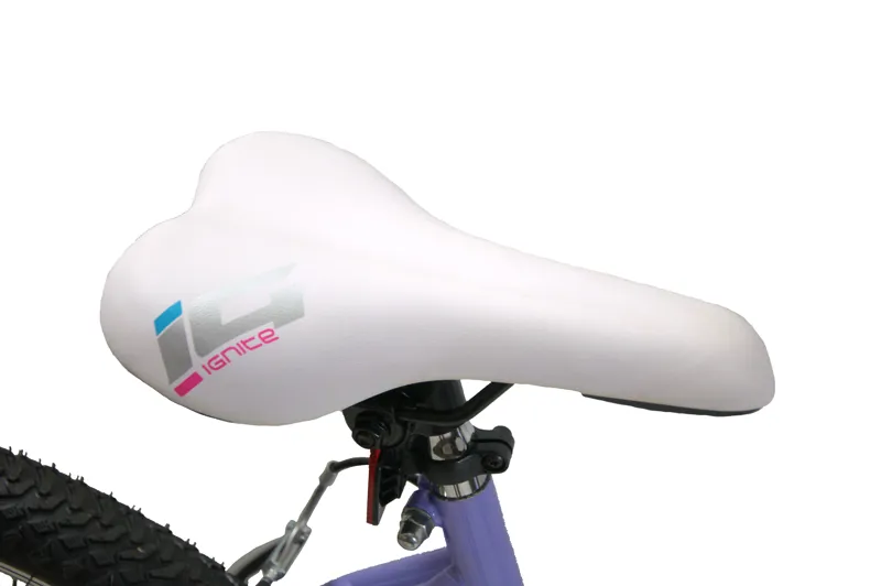 Crystal 26 inch MTB Purple Large 19 inch Frame-6