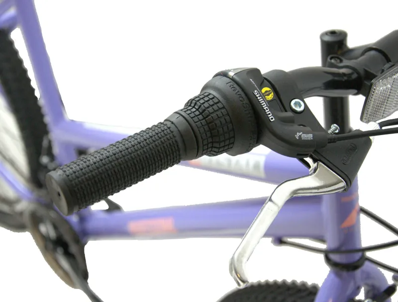 Santorini 26 inch MTB Purple Large 19 inch Frame-5