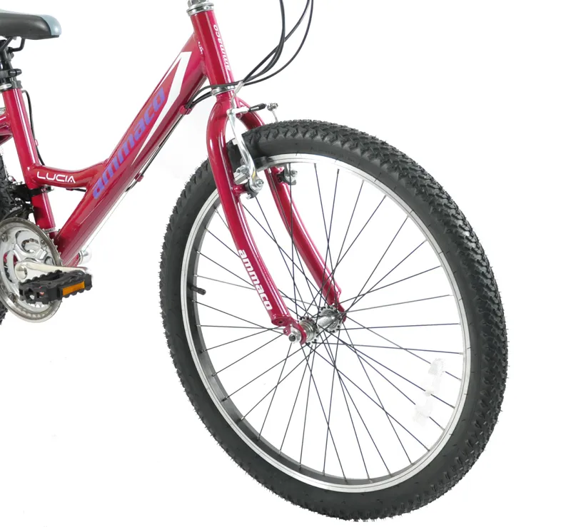 Ammaco Lucia 24 Inch Wheel Kids Bike Pink-3