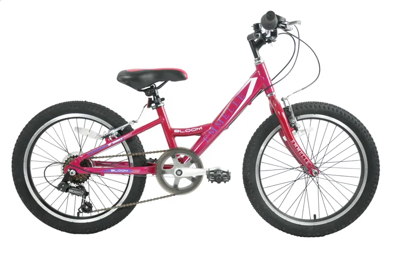 Emmelle Bloom 20 Inch Wheel Kids Bike Pink-1