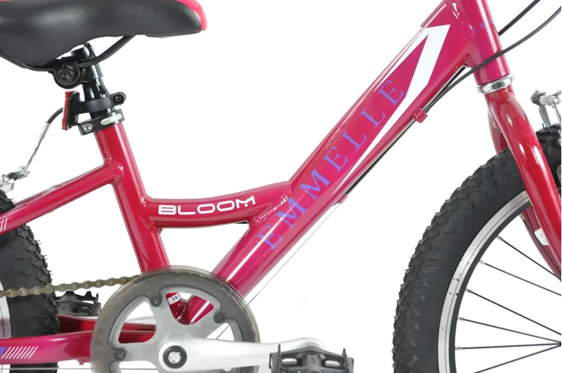 Emmelle Bloom 20 Inch Wheel Kids Bike Pink-2