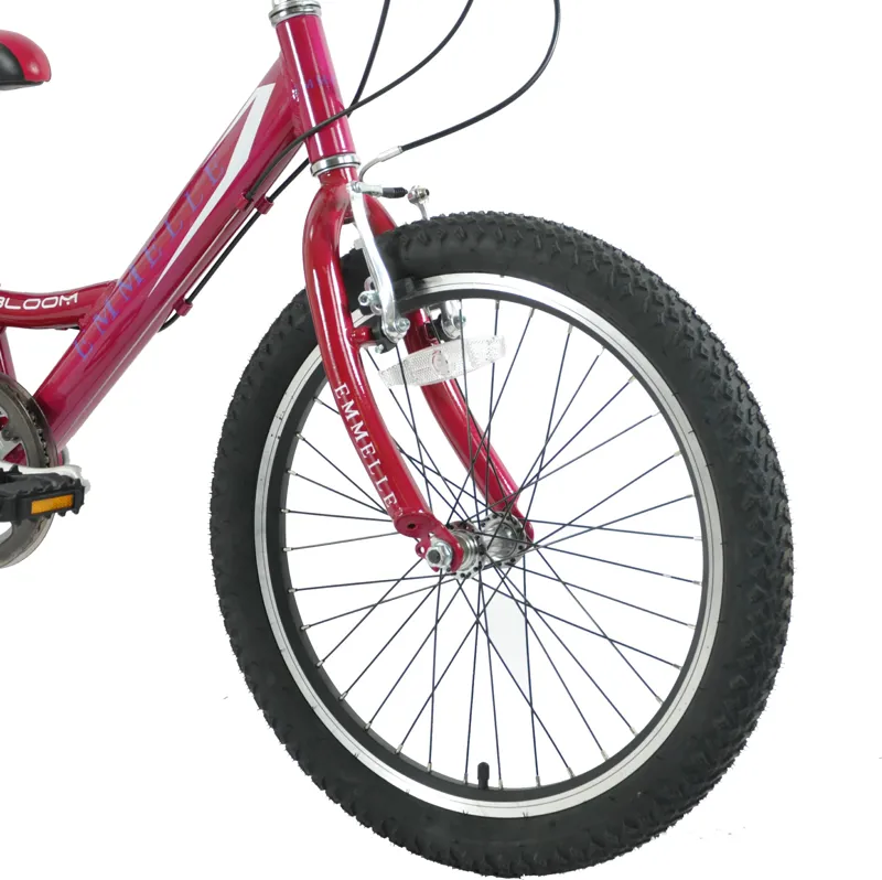 Emmelle Bloom 20 Inch Wheel Kids Bike Pink-3