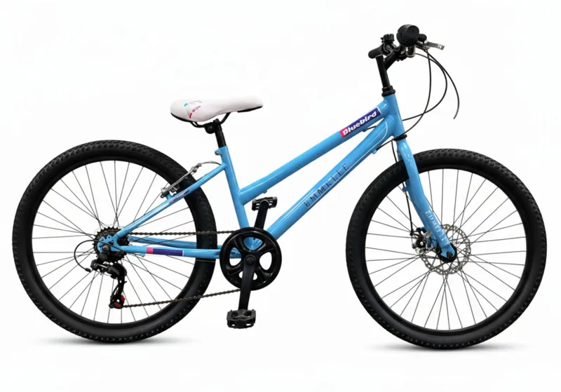 Emmelle Bluebird 24 Inch Wheel Kids Bike Blue
