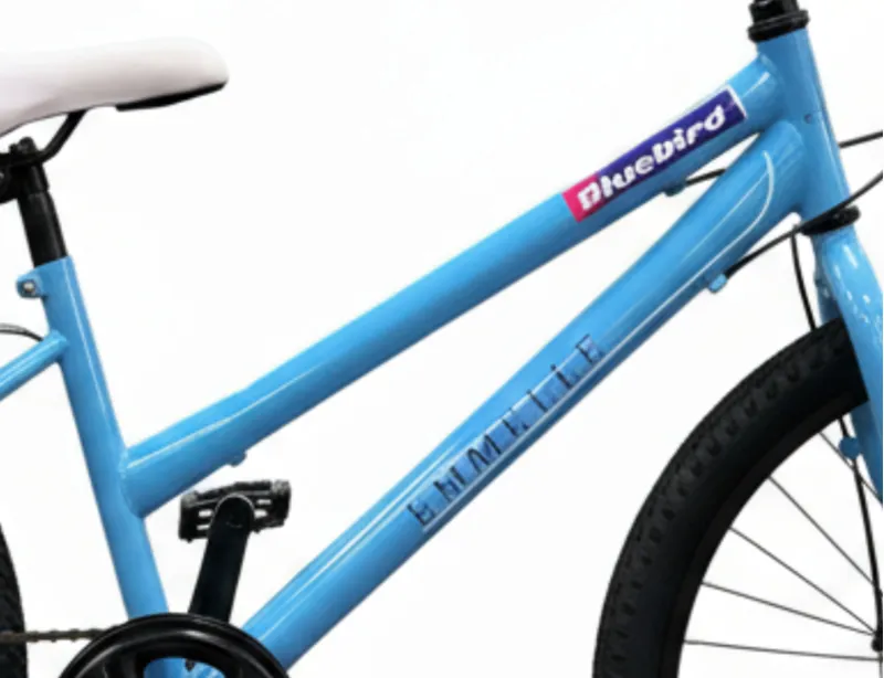 Emmelle Bluebird 24 Inch Wheel Kids Bike Blue-1