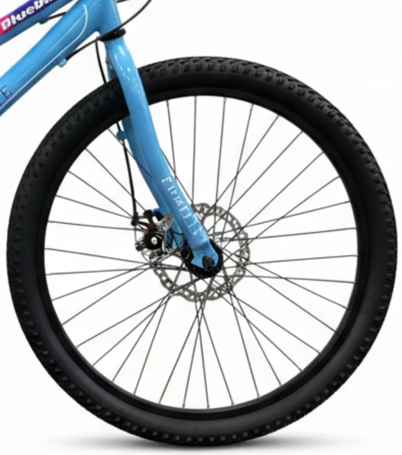 Emmelle Bluebird 24 Inch Wheel Kids Bike Blue-3