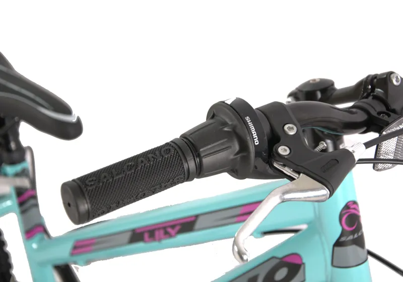 Salcano Lily 24 Inch Wheel Kids Bike Turquoise Purple-6