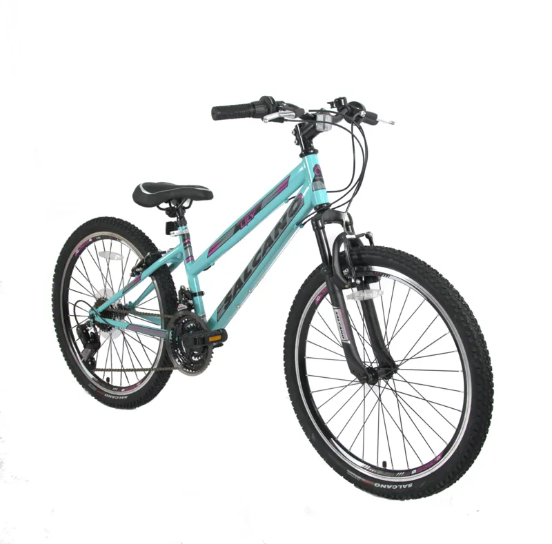 Salcano Lily 24 Inch Wheel Kids Bike Turquoise Purple-1