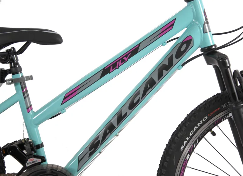 Salcano Lily 24 Inch Wheel Kids Bike Turquoise Purple-2