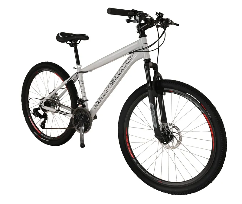 Salcano Lion 26 Inch Wheel Mountain Bike Light Grey/Black-1