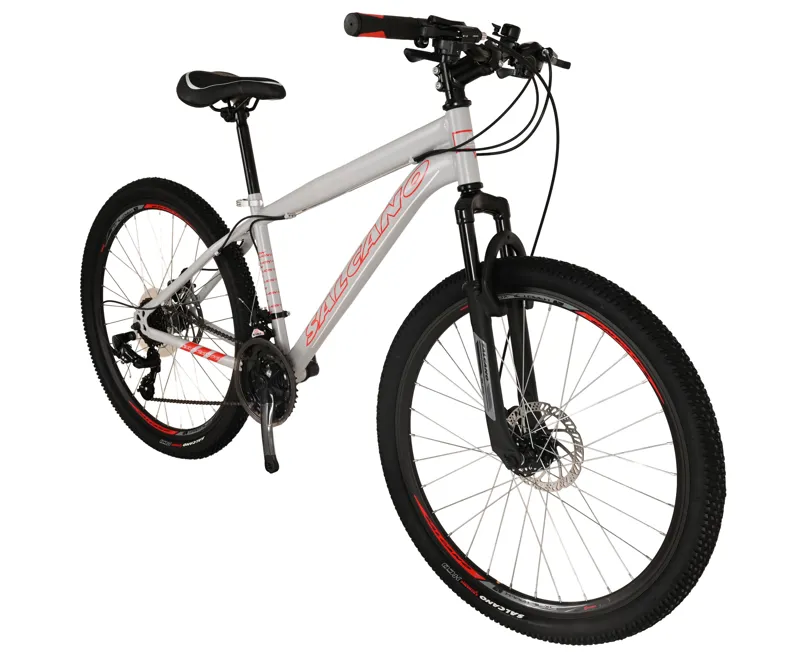 Salcano Lion 26 Inch Wheel Mountain Bike Light Grey/Red-1