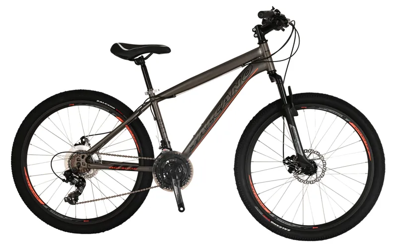 Salcano Lion 26 Inch Wheel Mountain Bike Platin/Orange