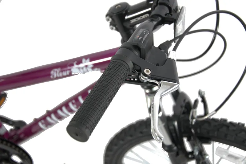 Emmelle Fleur 24 Inch Wheel Kids Bike Purple-4