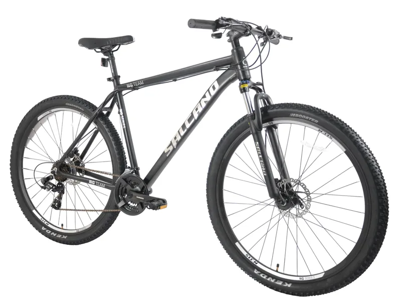 Salcano NG Team 200 29er Mountain Bike Black/Silver-1
