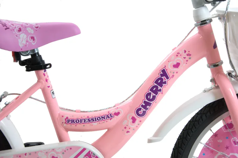 Professional Cherry 20 Inch Wheel Kids Bike Pink-2