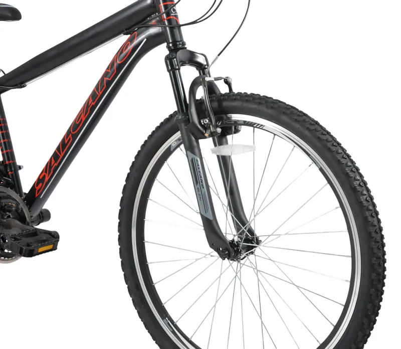 Salcano Lion 26 Inch Wheel Mountain Bike Black/Red-4