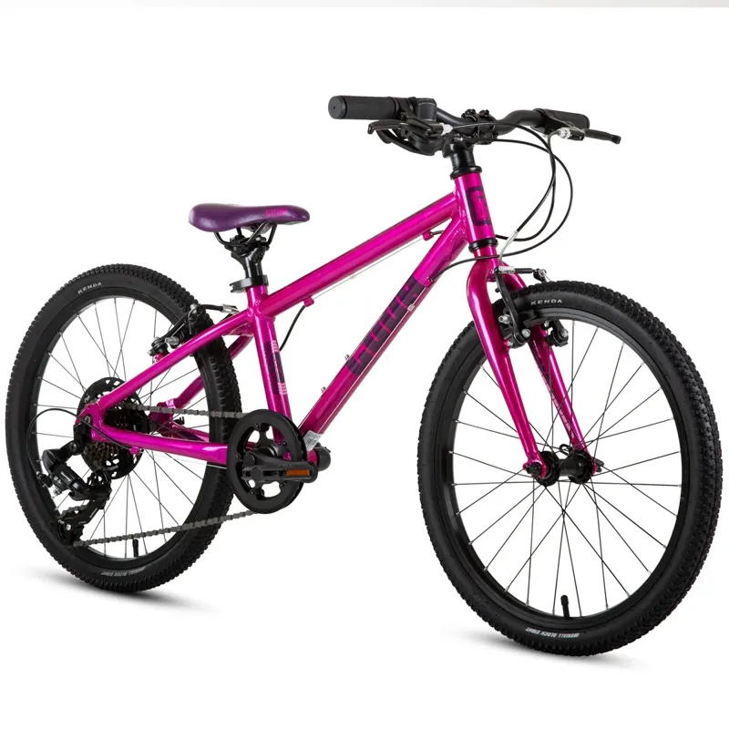 Cuda Trace 20 Inch Wheel Kids Mountain Bike Purple-2