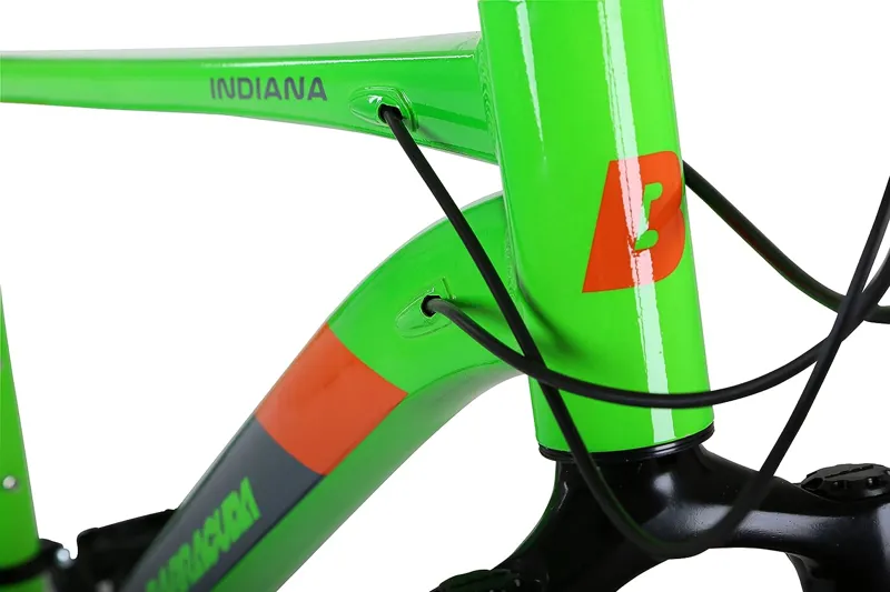 Barracuda Indiana Mountain Bike Green-4