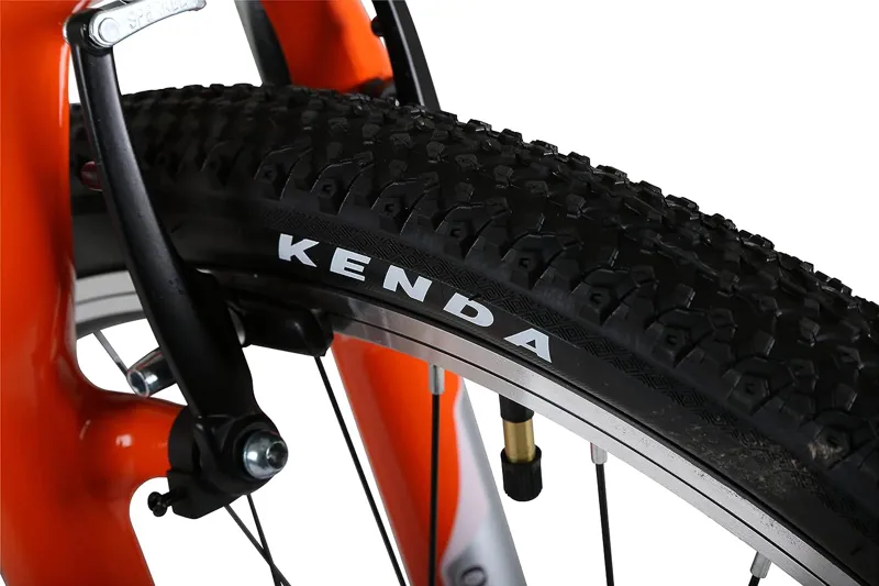 Barracuda Indiana Mountain Bike Green-1