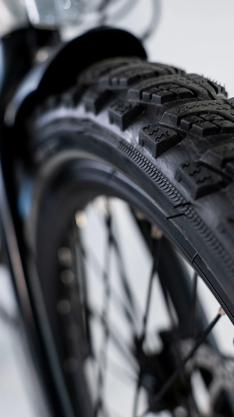 estarli e20.8 Play Folding Electric Bike Raw Silver-5