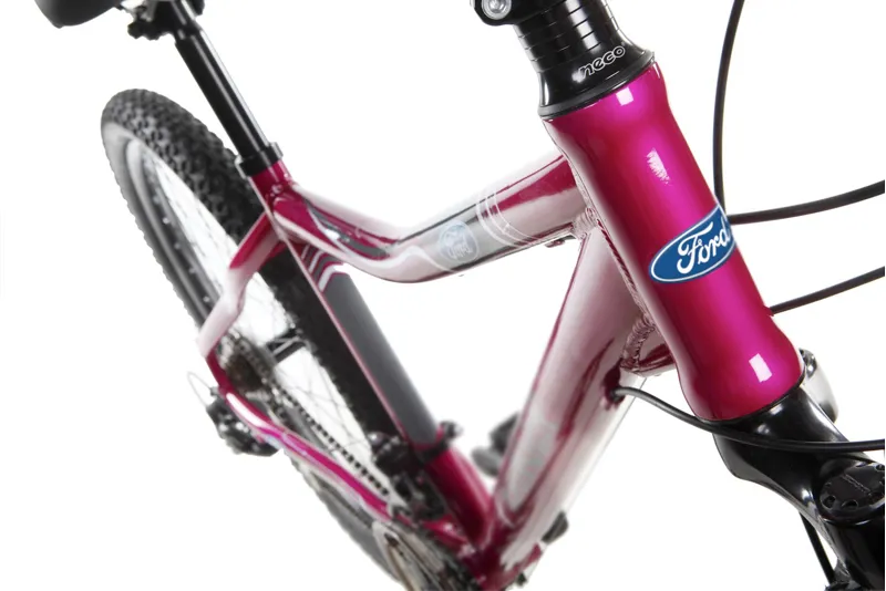 Ford Ranger Mountain Bike Pink-6