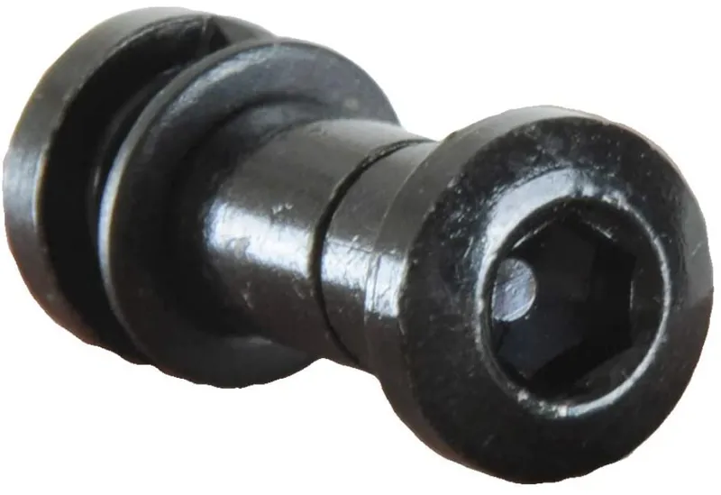 Allen Key Seat Bolt 8mm x 20mm