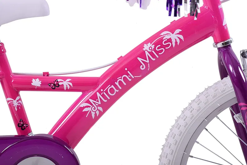 Professional Miami Miss 20 Inch Wheel Kids Bike Pink and Purple-4
