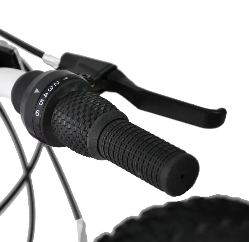 Professional Diva 20 Inch Wheel Kids Bike Purple-1