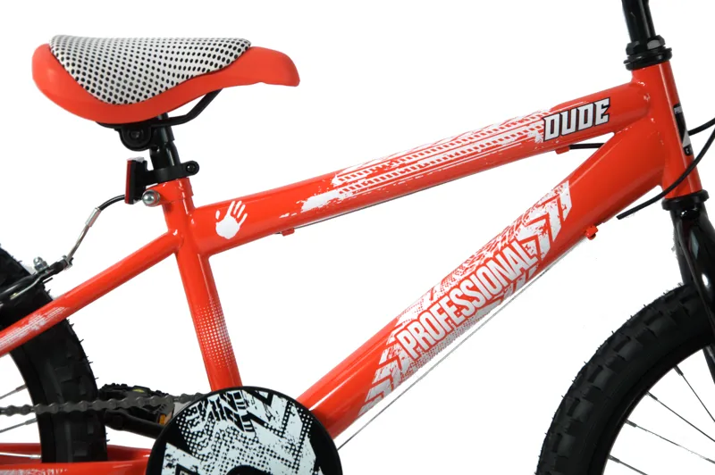 Professional Dude 20 Inch Wheel Mountain Bike Red-4
