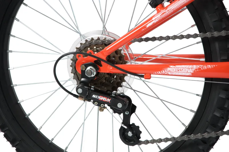 Professional Dude 20 Inch Wheel Mountain Bike Red-3