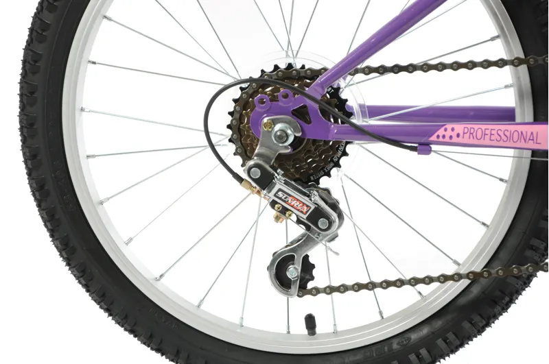 Professional Enchant 20 Inch Kids Bike Purple-9