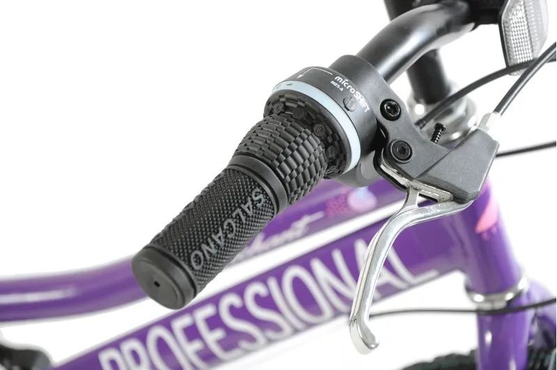 Professional Enchant 20 Inch Kids Bike Purple-3