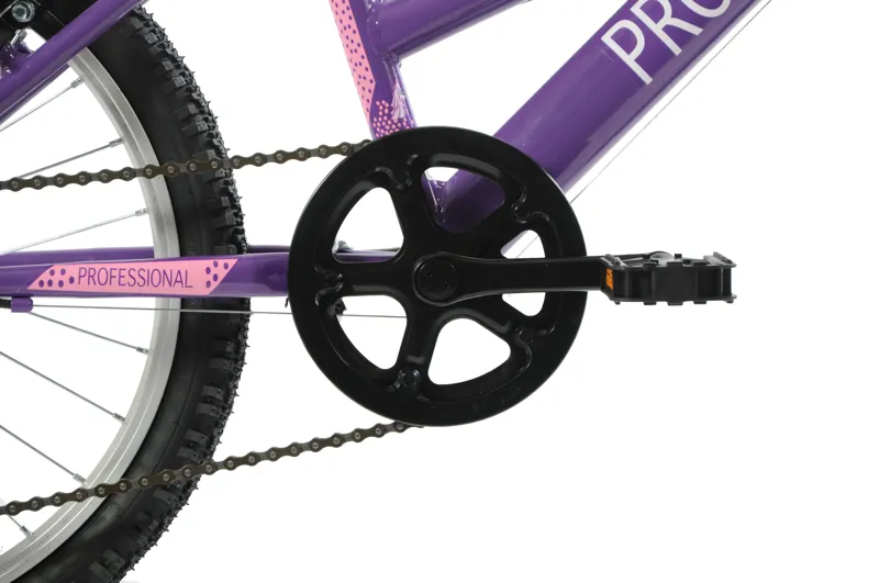 Professional Enchant 20 Inch Kids Bike Purple-8