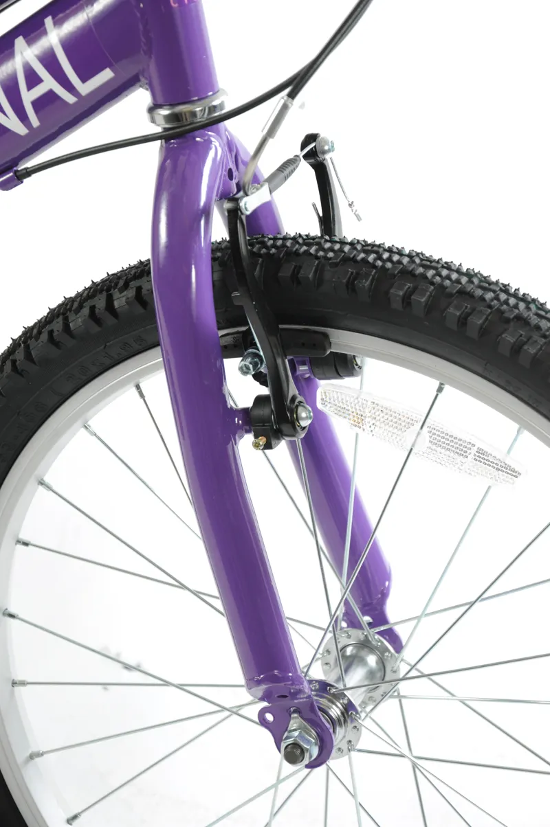 Professional Enchant 20 Inch Kids Bike Purple-6