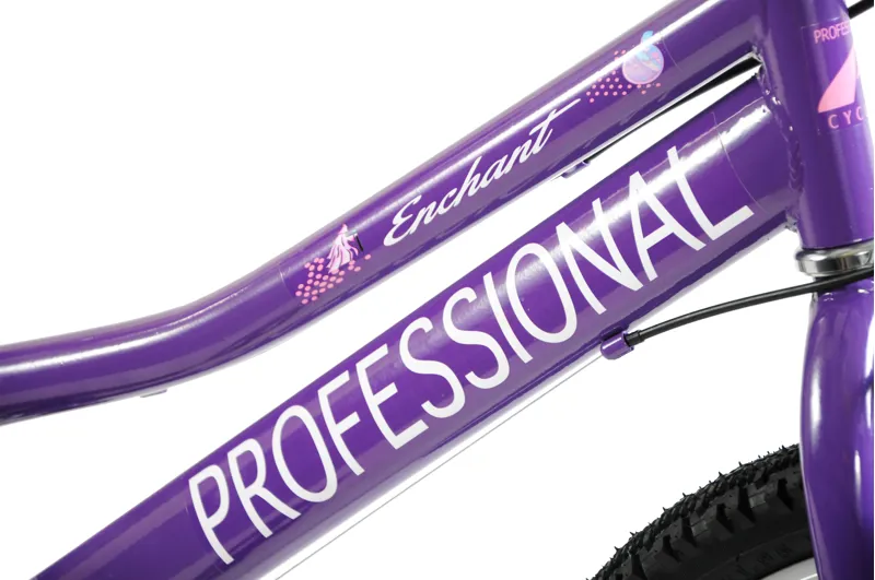 Professional Enchant 20 Inch Kids Bike Purple-5