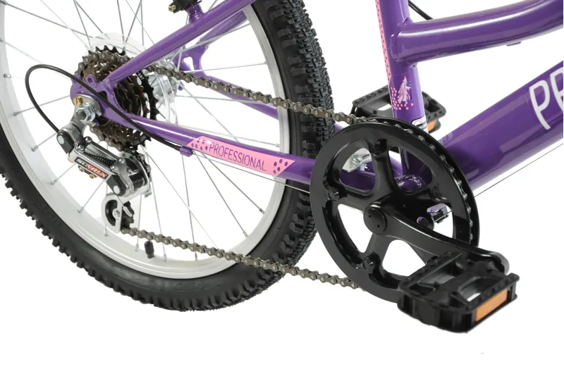 Professional Enchant 20 Inch Kids Bike Purple-4