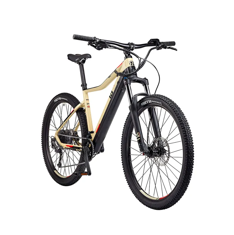 EZEGO Trail Destroyer Electric Mountain Bike-1