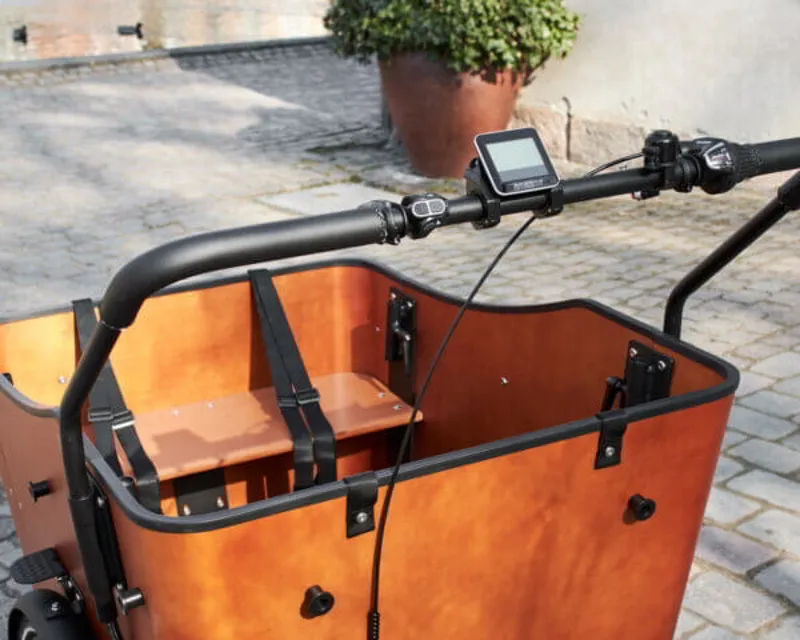 AMCargo Ultimate Harmony Electric Cargo Bike -4