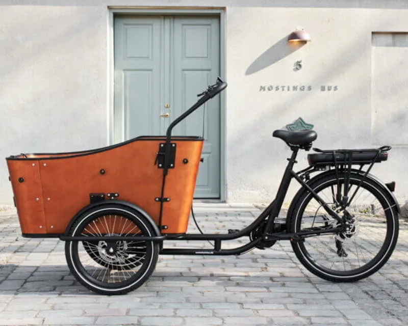 AMCargo Ultimate Harmony Electric Cargo Bike -1