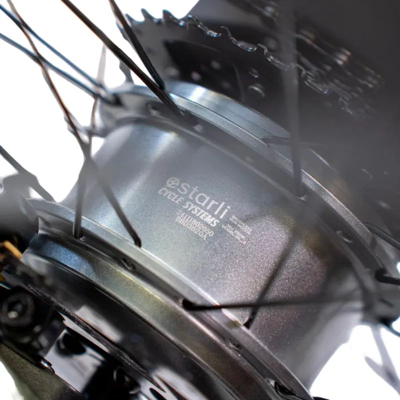 Estarli E20.9 20 Inch Electric Folding Bike Racing Green-1