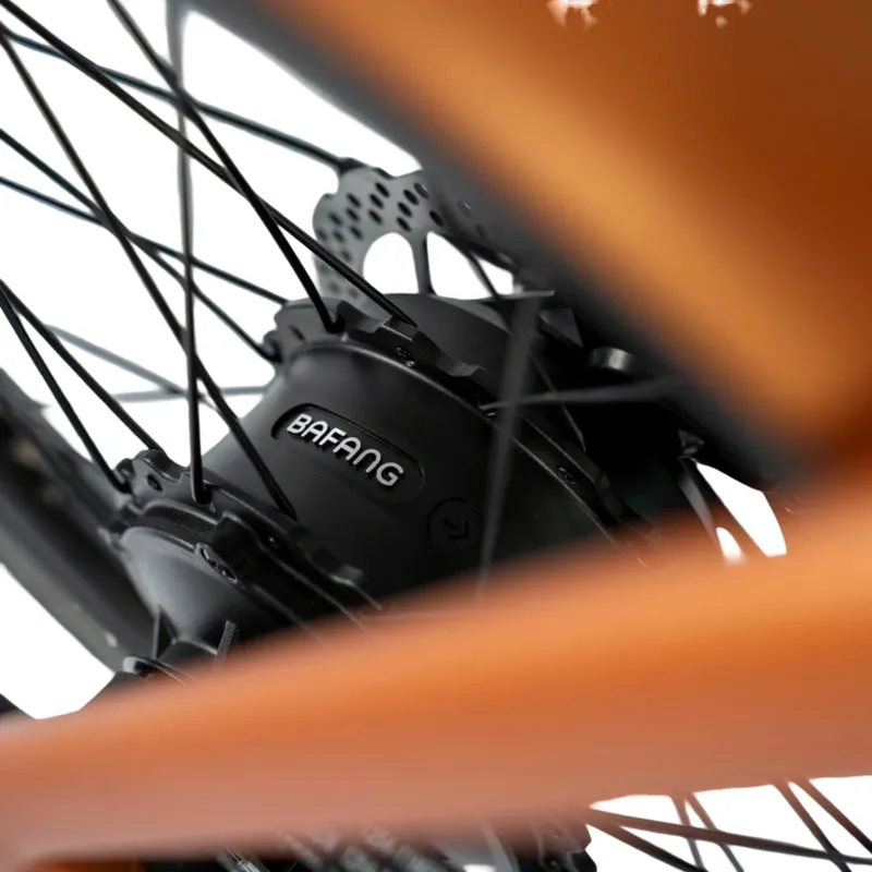 Estarli E20.X Pro 20 Inch Electric Folding Bike Bronze-5