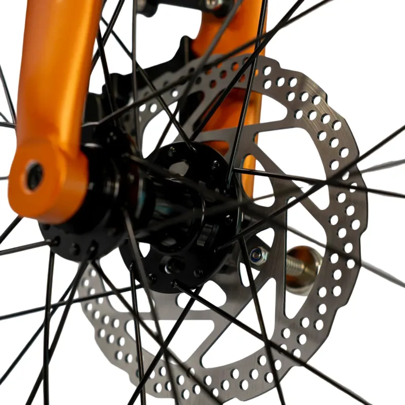 Estarli E20.X Pro 20 Inch Electric Folding Bike Bronze-3