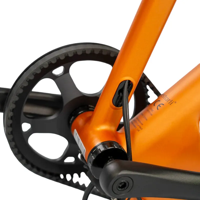 Estarli E20.X Pro 20 Inch Electric Folding Bike Bronze-2